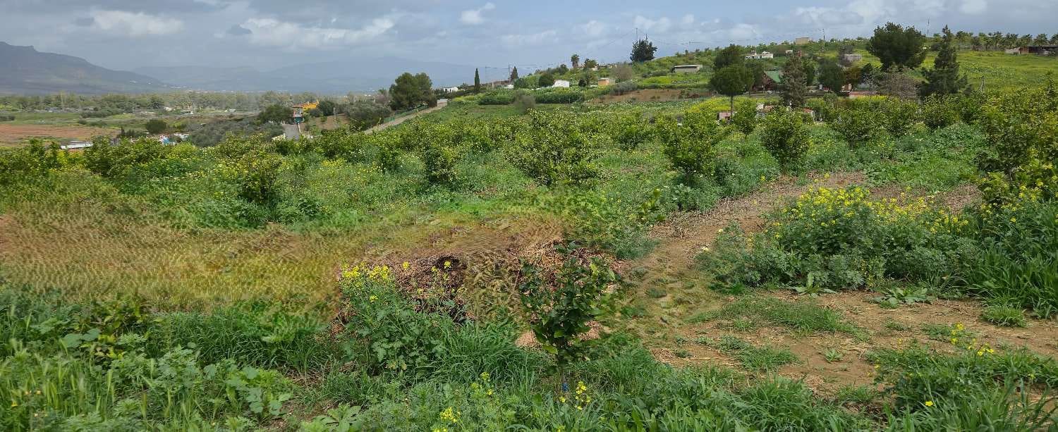 2 slaapkamer Finca/Landhuis te koop in Villafranca del Guadalhorce met zwembad - € 480.000 (Ref: 8856860)