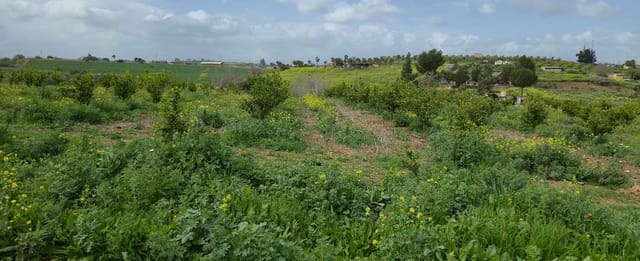 2 soverom Finca/Herregård til salgs i Villafranca del Guadalhorce, Alhaurín el Grande med svømmebasseng - € 480 000 (Ref: 8856860)
