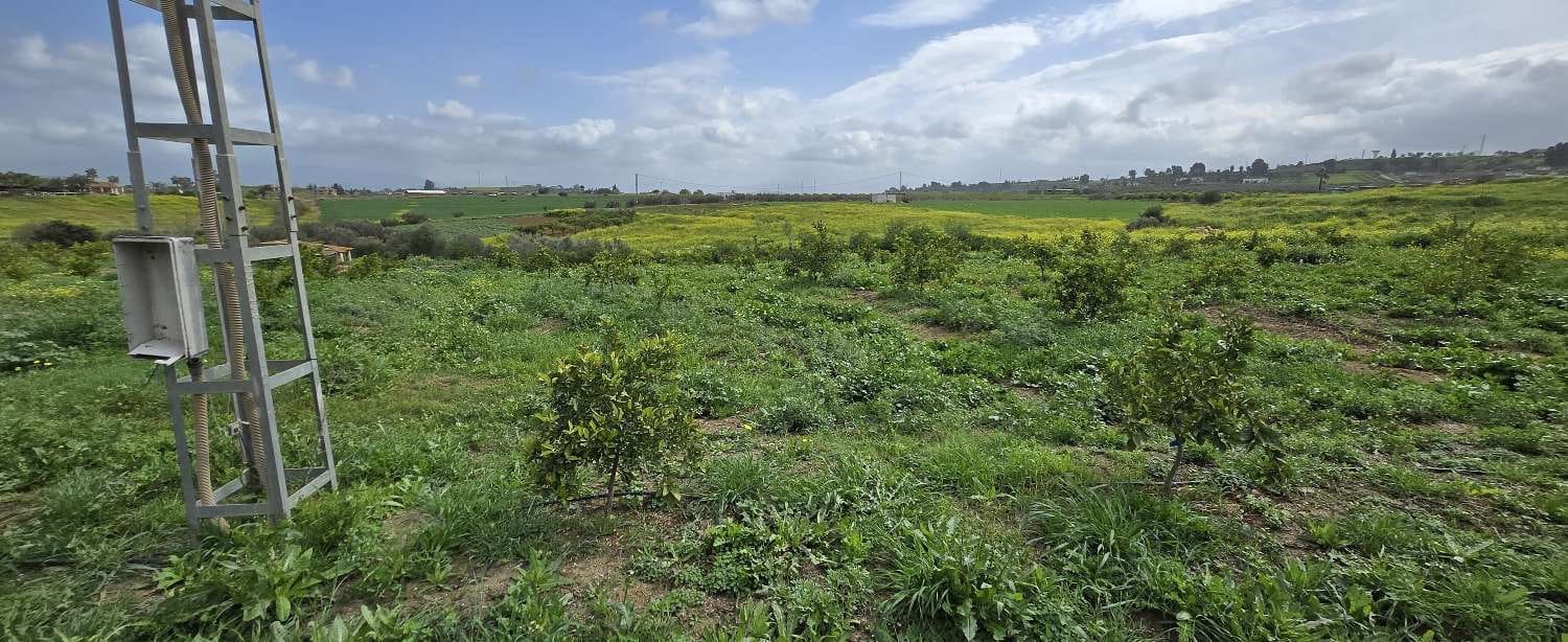 2 slaapkamer Finca/Landhuis te koop in Villafranca del Guadalhorce met zwembad - € 480.000 (Ref: 8856860)