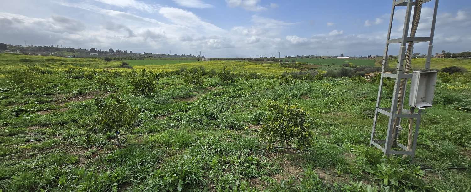 2 slaapkamer Finca/Landhuis te koop in Villafranca del Guadalhorce met zwembad - € 480.000 (Ref: 8856860)