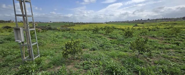 2 soverom Finca/Herregård til salgs i Villafranca del Guadalhorce, Alhaurín el Grande med svømmebasseng - € 480 000 (Ref: 8856860)