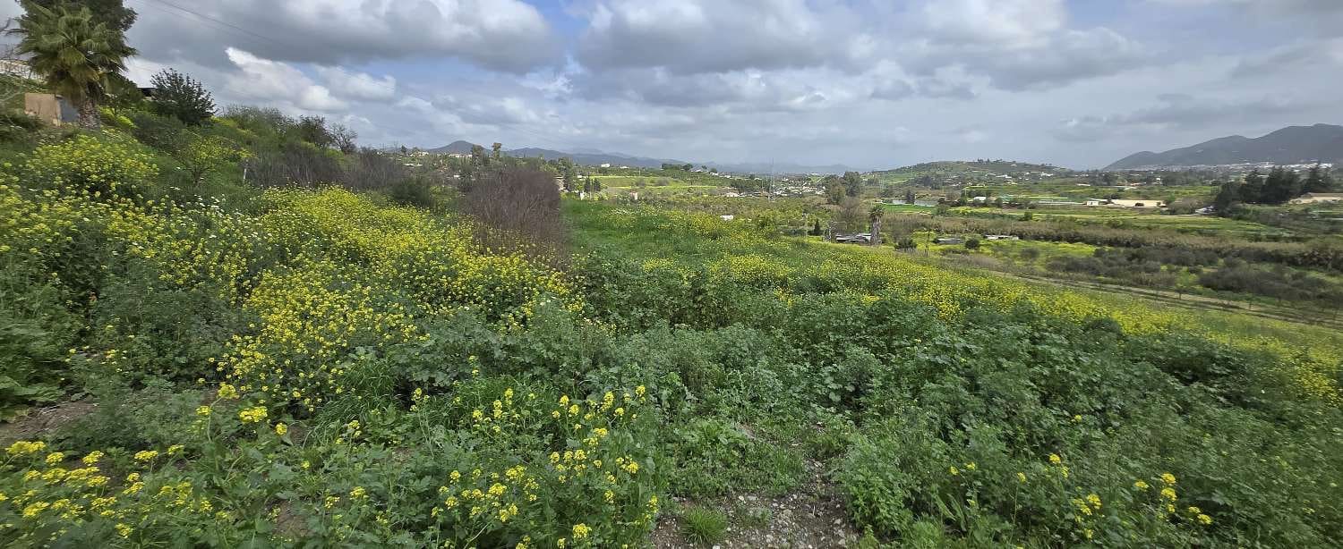 3 quarto Quinta/Casa Rural para venda em Alhaurin el Grande com piscina - 395 000 € (Ref: 8856861)