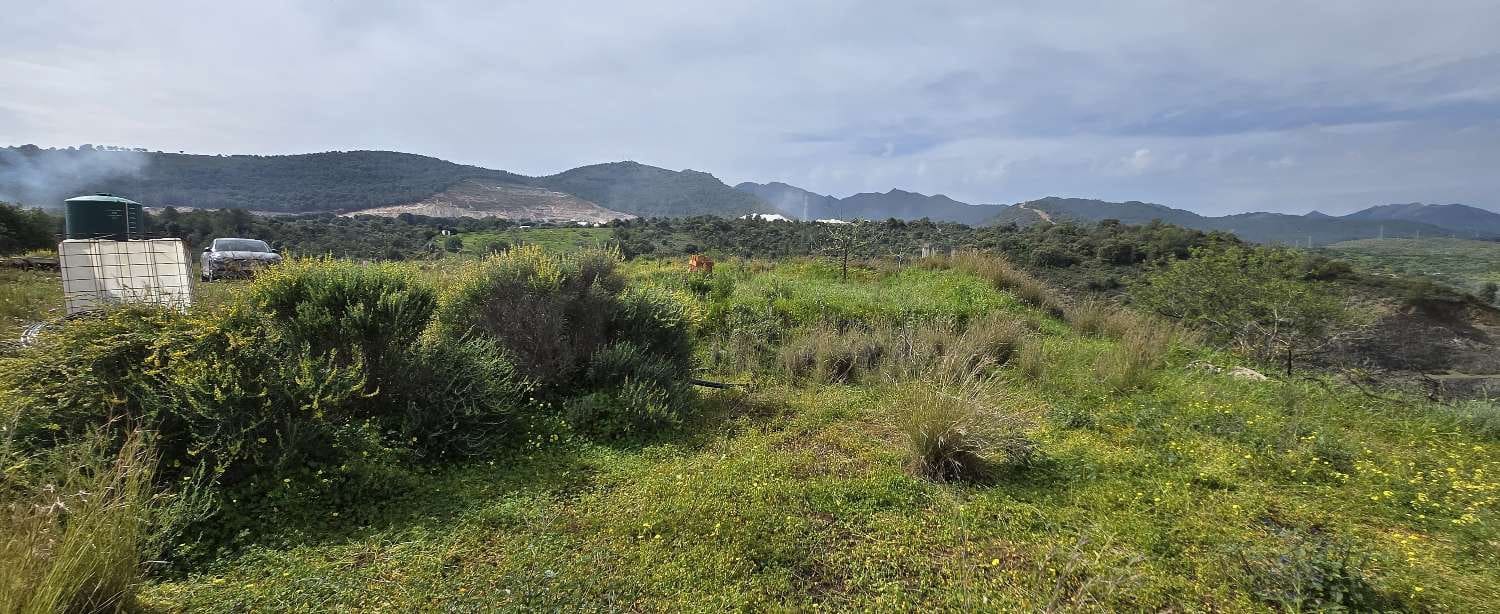 Tontti myytävänä paikassa Coin - 175 000 € (Ref: 8910915)