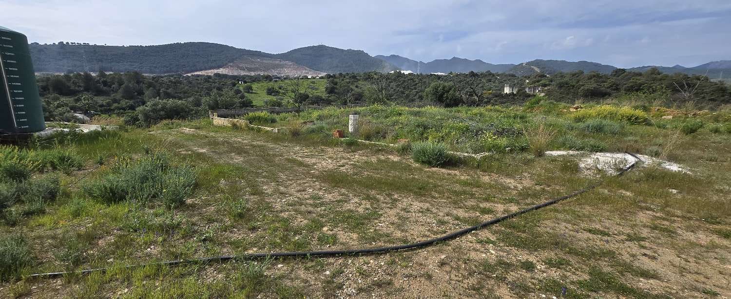 Tontti myytävänä paikassa Coin - 175 000 € (Ref: 8910915)