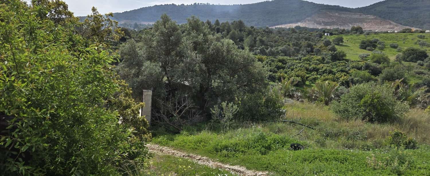 Tontti myytävänä paikassa Coin - 175 000 € (Ref: 8910915)