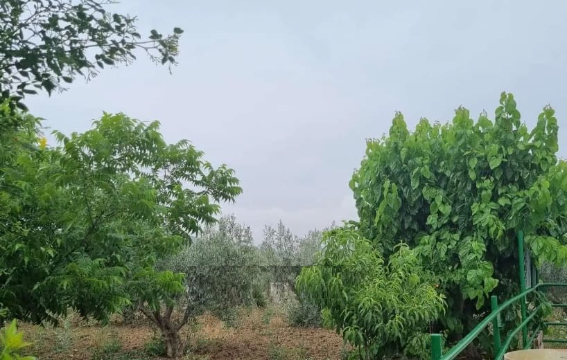 3 chambre Finca/Maison de Campagne à vendre à Coin - 550 000 € (Ref: 9118530)