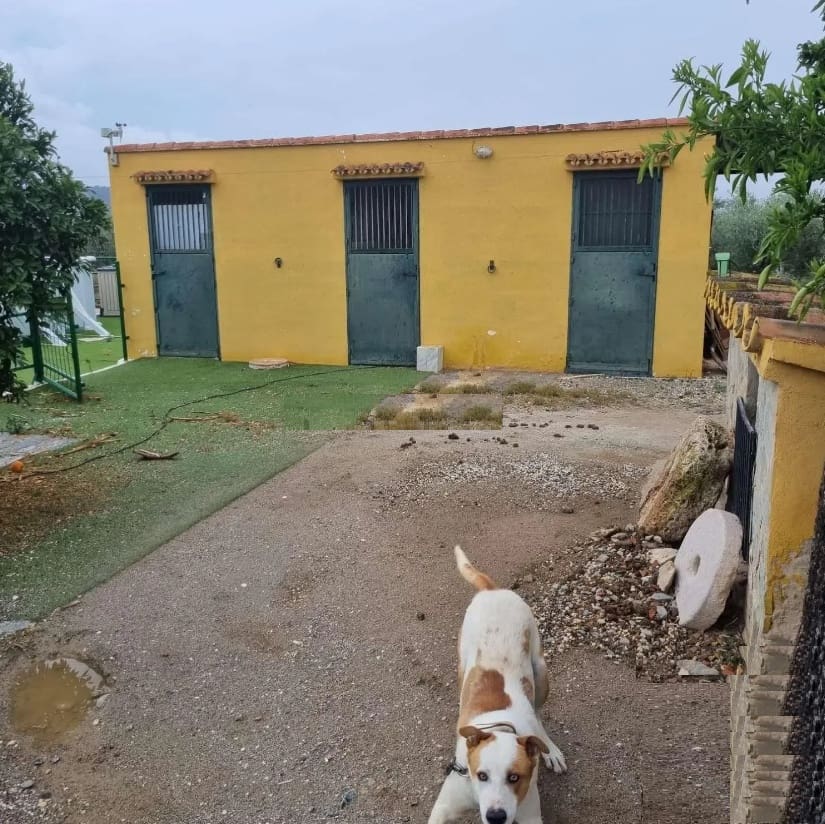 3 chambre Finca/Maison de Campagne à vendre à Coin - 550 000 € (Ref: 9118530)