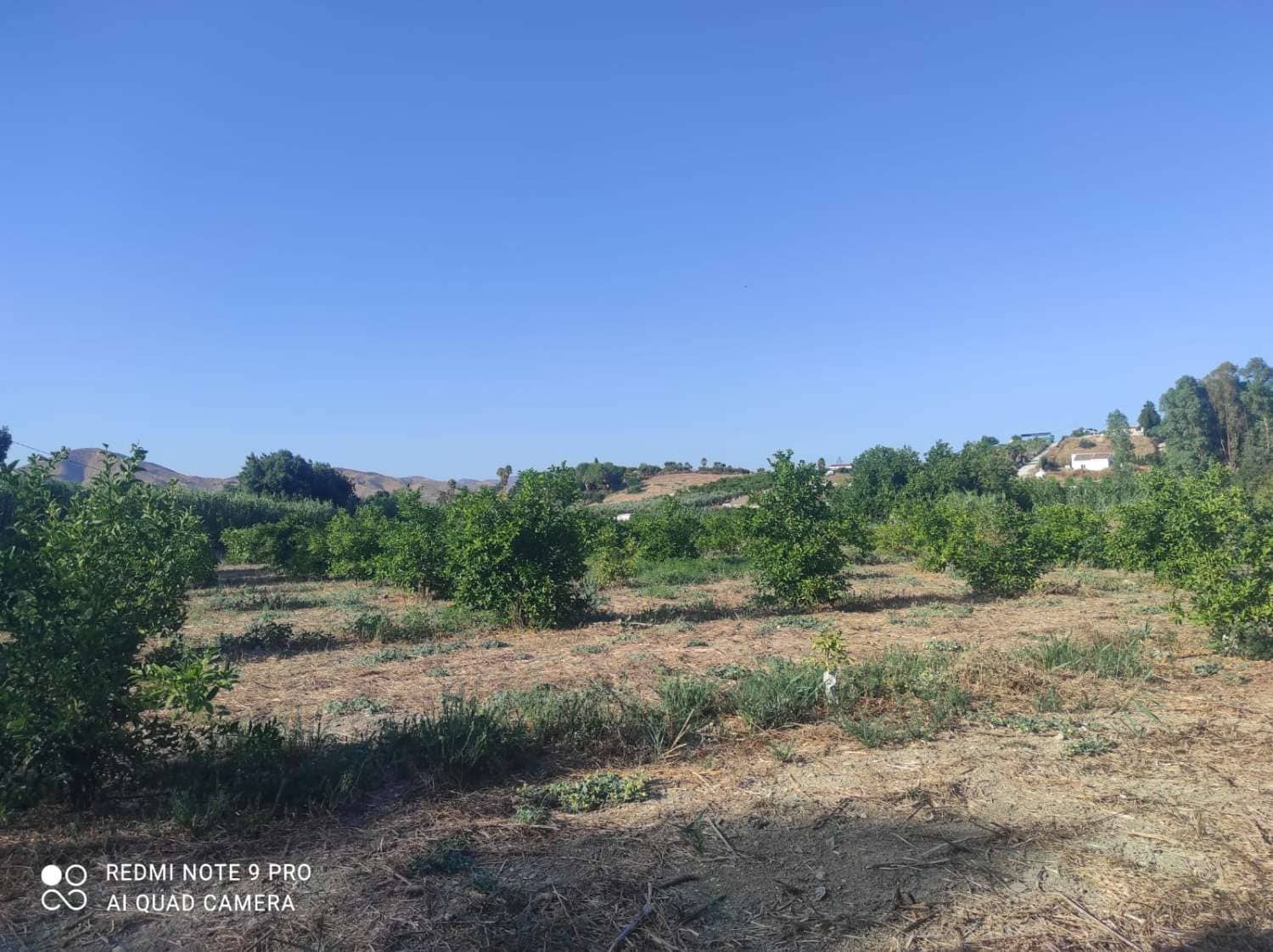 Finca/Country House for sale in Cartama - € 145,000 (Ref: 9141313)