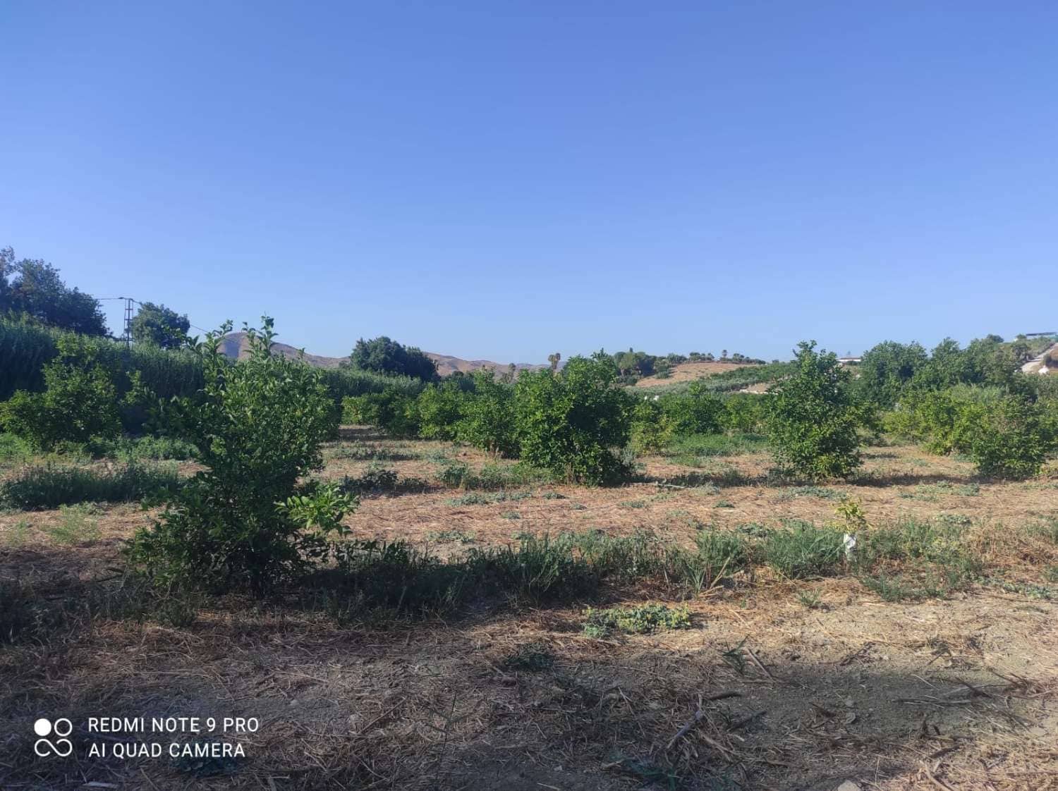 Finca/Country House for sale in Cartama - € 145,000 (Ref: 9141313)