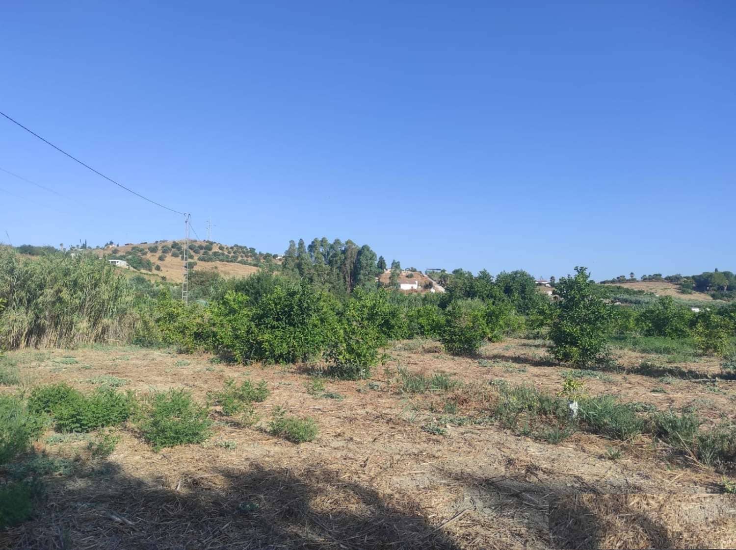 Finca/Country House for sale in Cartama - € 145,000 (Ref: 9141313)