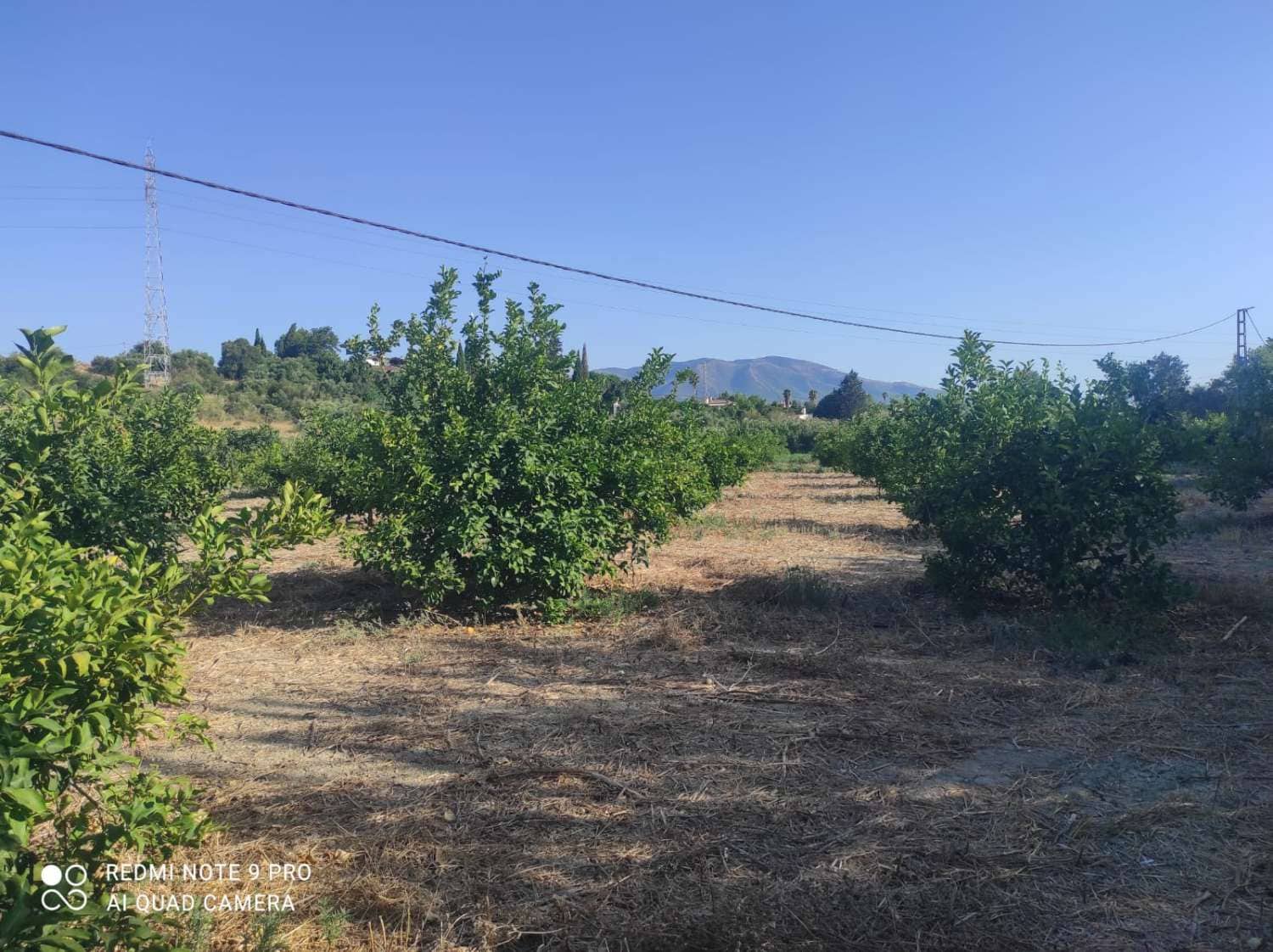 Finca/Country House for sale in Cartama - € 145,000 (Ref: 9141313)