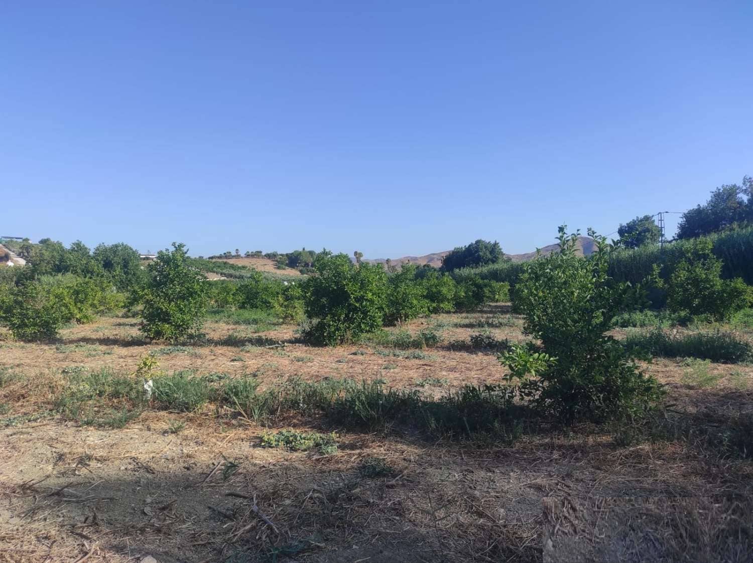 Finca/Country House for sale in Cartama - € 145,000 (Ref: 9141313)