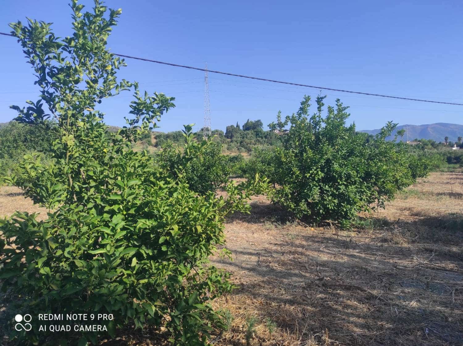 Finca/Country House for sale in Cartama - € 145,000 (Ref: 9141313)