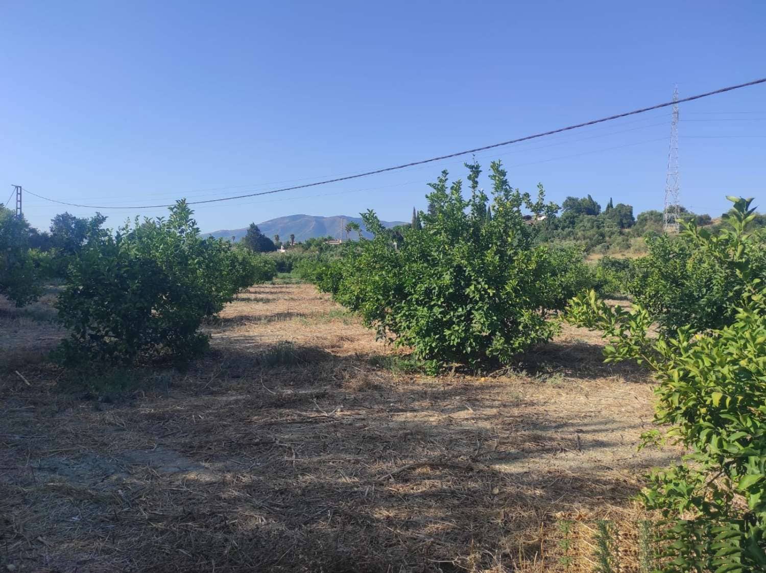 Finca/Country House for sale in Cartama - € 145,000 (Ref: 9141313)