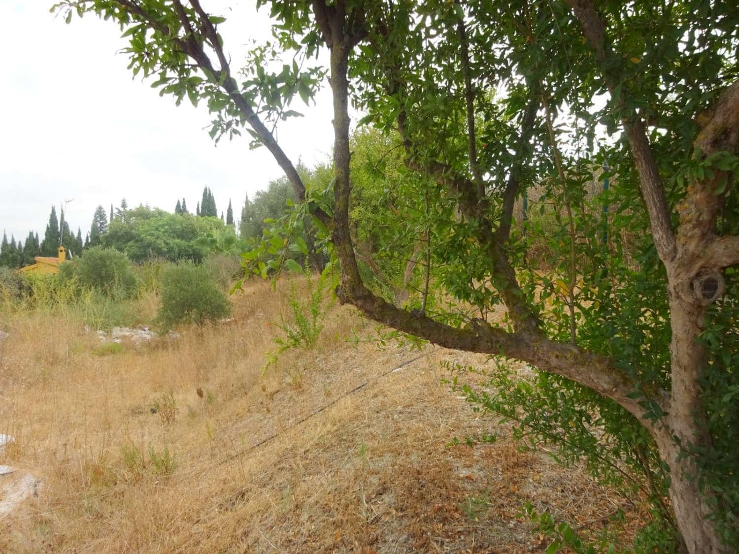 4 soverom Villa til salgs i Alhaurin de la Torre med svømmebasseng - € 750 000 (Ref: 9300428)