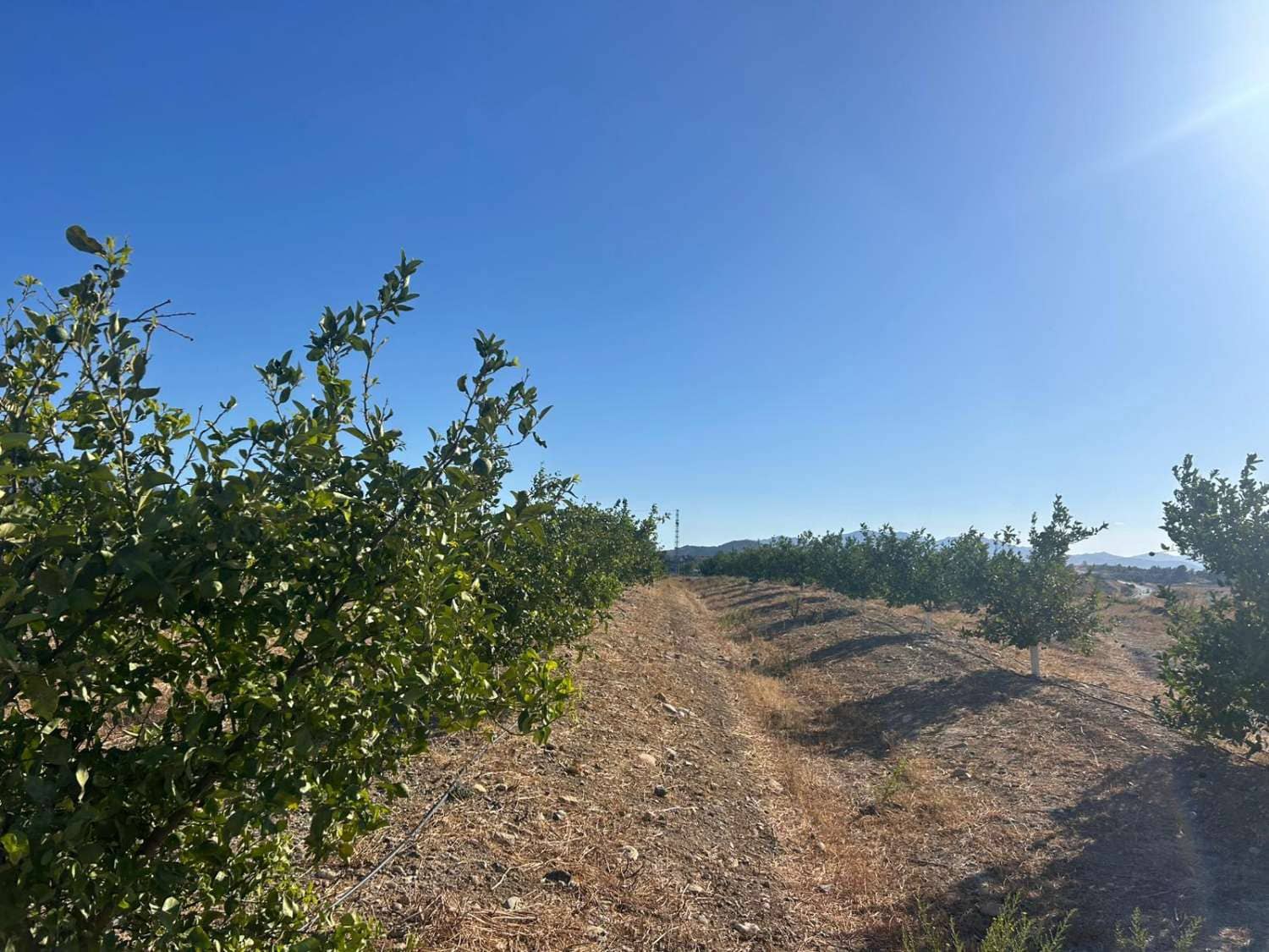 Działka budowlana na sprzedaż w Cartama - 370 000 € (Ref: 9300429)