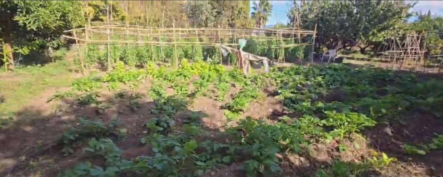 6 camera da letto Villa in vendita in Alhaurin de la Torre con piscina - 1.290.000 € (Rif: 9413577)