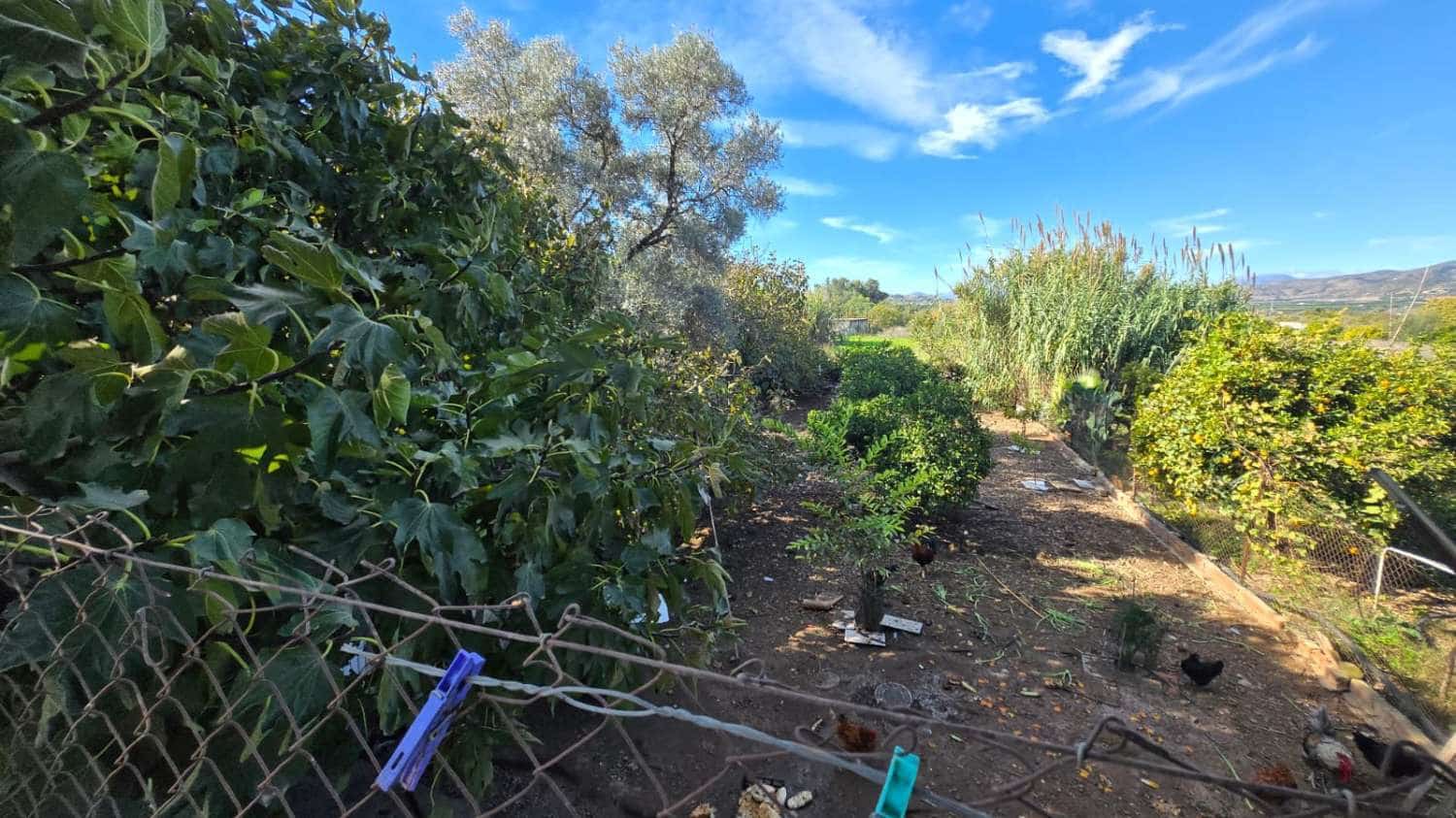 6 camera da letto Villa in vendita in Alhaurin de la Torre con piscina - 1.290.000 € (Rif: 9413577)