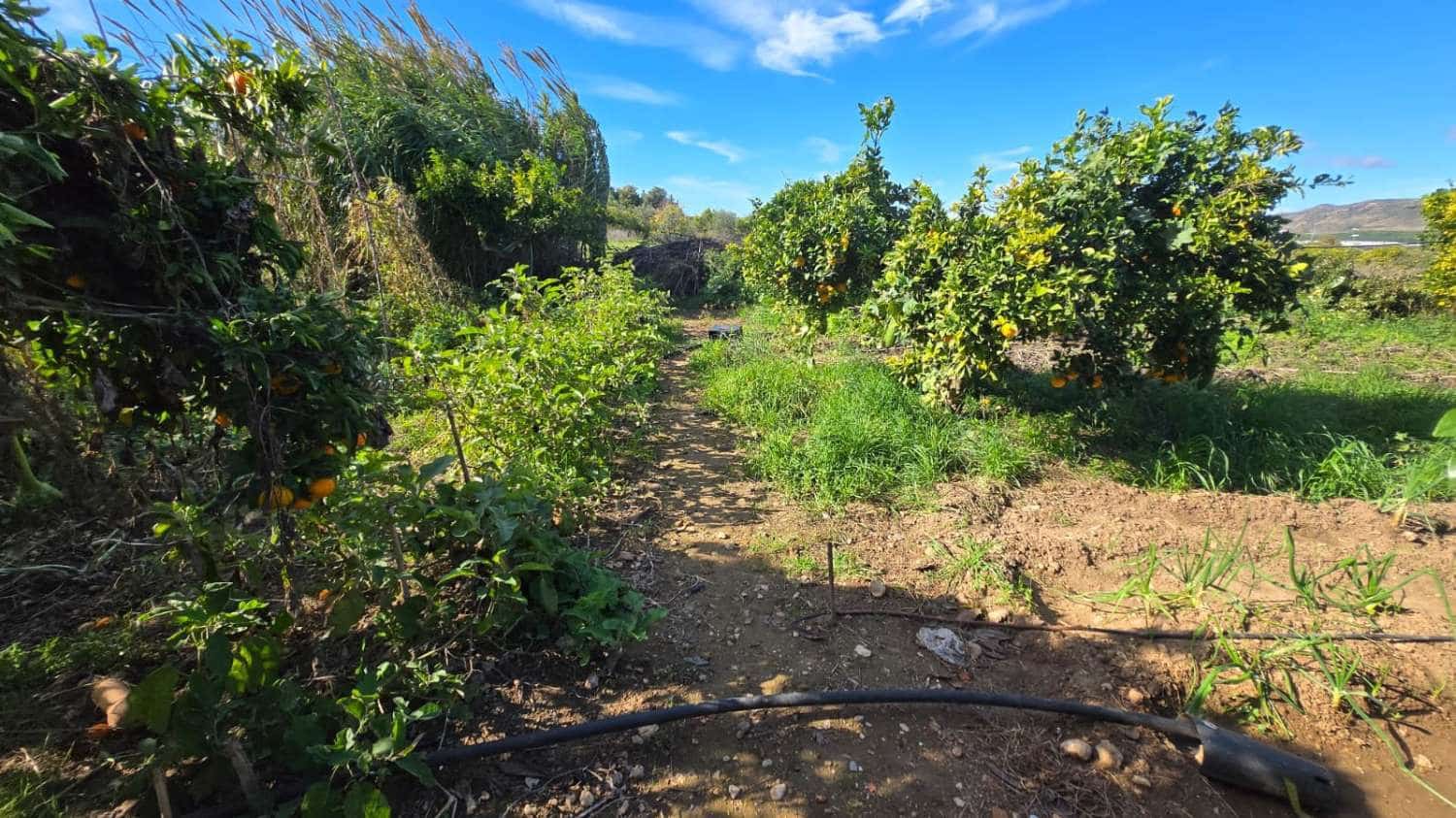 6 camera da letto Villa in vendita in Alhaurin de la Torre con piscina - 1.290.000 € (Rif: 9413577)