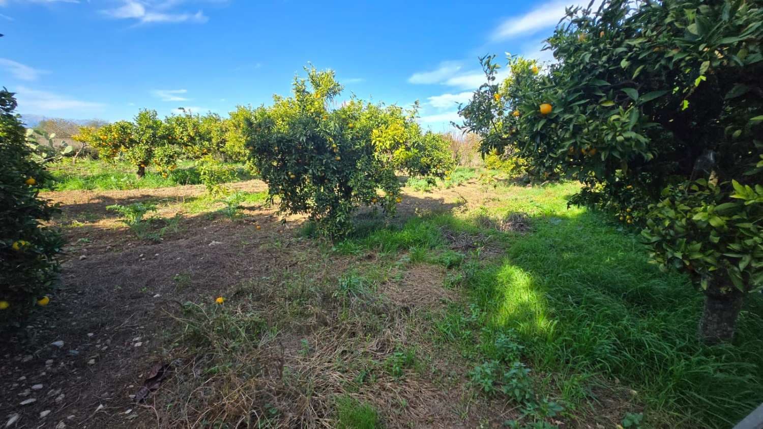 6 camera da letto Villa in vendita in Alhaurin de la Torre con piscina - 1.290.000 € (Rif: 9413577)