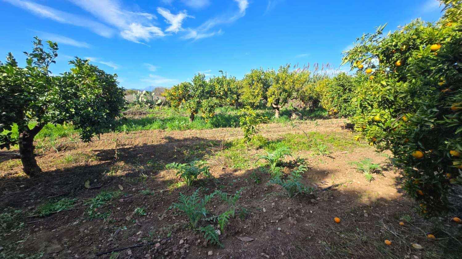 6 camera da letto Villa in vendita in Alhaurin de la Torre con piscina - 1.290.000 € (Rif: 9413577)