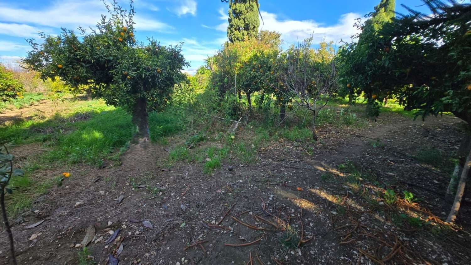 6 camera da letto Villa in vendita in Alhaurin de la Torre con piscina - 1.290.000 € (Rif: 9413577)