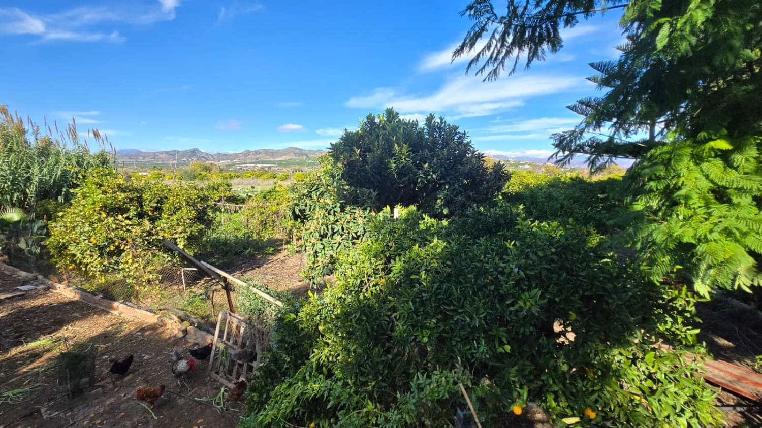 6 camera da letto Villa in vendita in Alhaurin de la Torre con piscina - 1.290.000 € (Rif: 9413577)