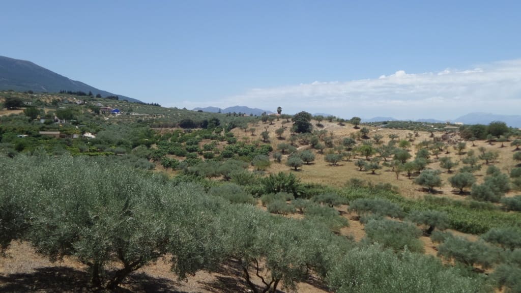 3 chambre Villa/Maison à vendre à Alhaurin el Grande avec piscine - 650 000 € (Ref: 9496795)