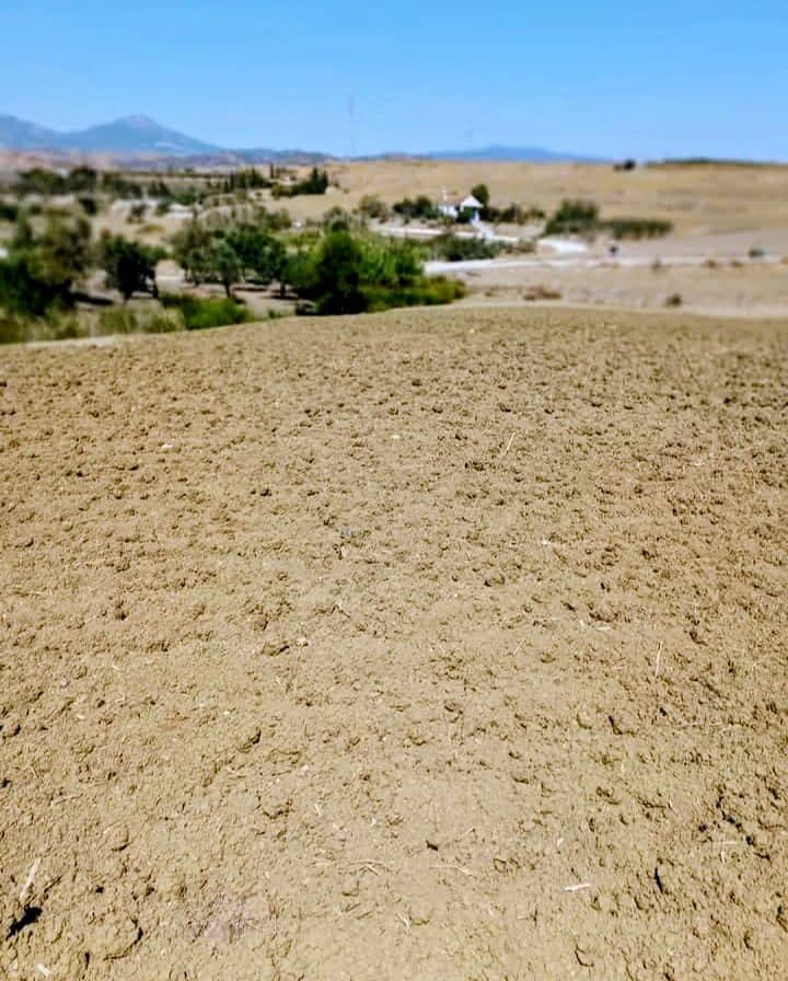 Finca/Casa Rural de 3 habitaciones en Coín en venta - 470.000 € (Ref: 9719436)