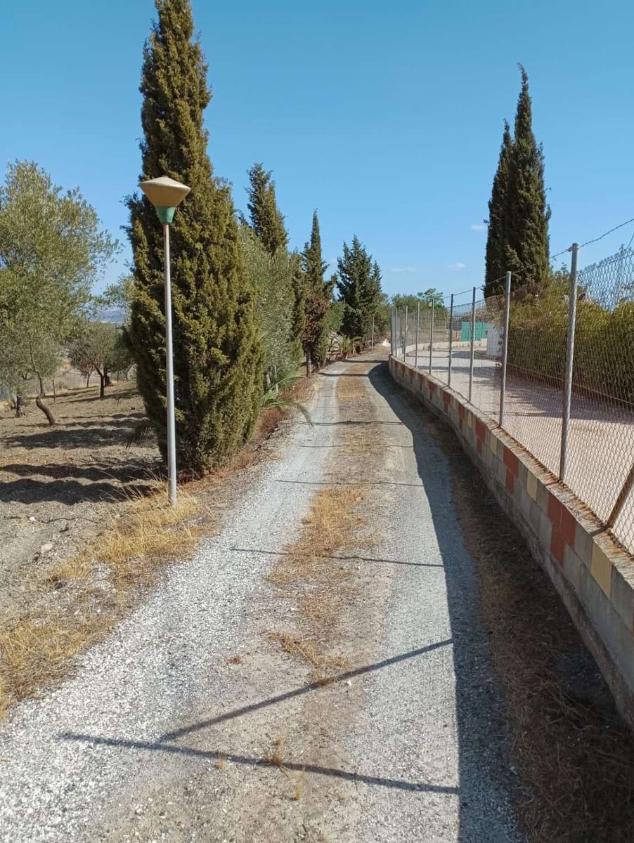 Finca/Casa Rural de 3 habitaciones en Coín en venta - 470.000 € (Ref: 9719436)