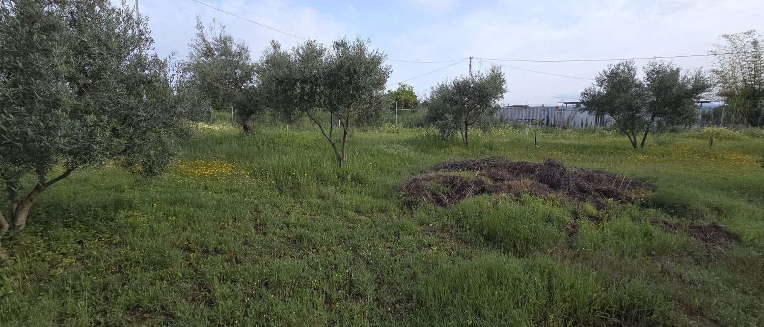 1 sovrum Finca/Hus på landet till salu i Cartama - 79 000 € (Ref: 9772665)