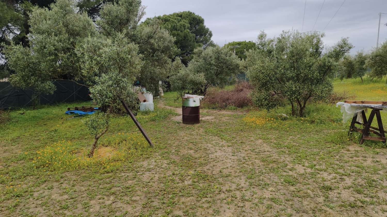 1 sovrum Finca/Hus på landet till salu i Cartama - 79 000 € (Ref: 9772665)