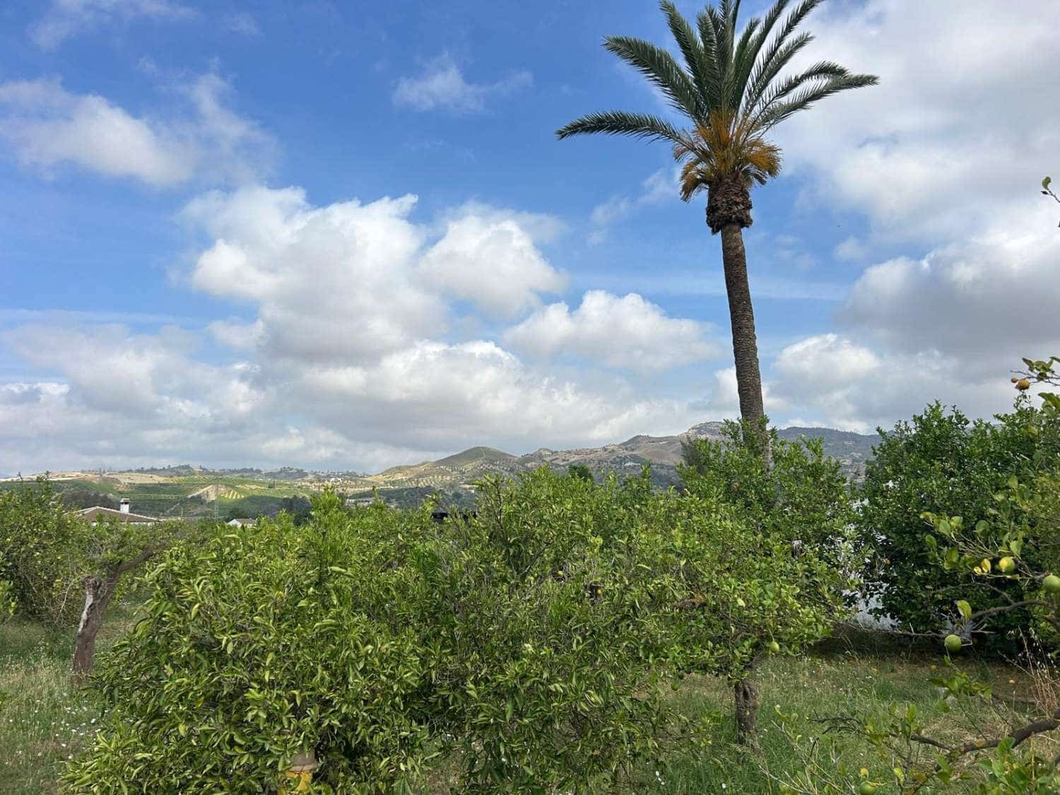 3 bedroom Finca/Country House for sale in Pizarra with pool - € 495,000 (Ref: 9906780)