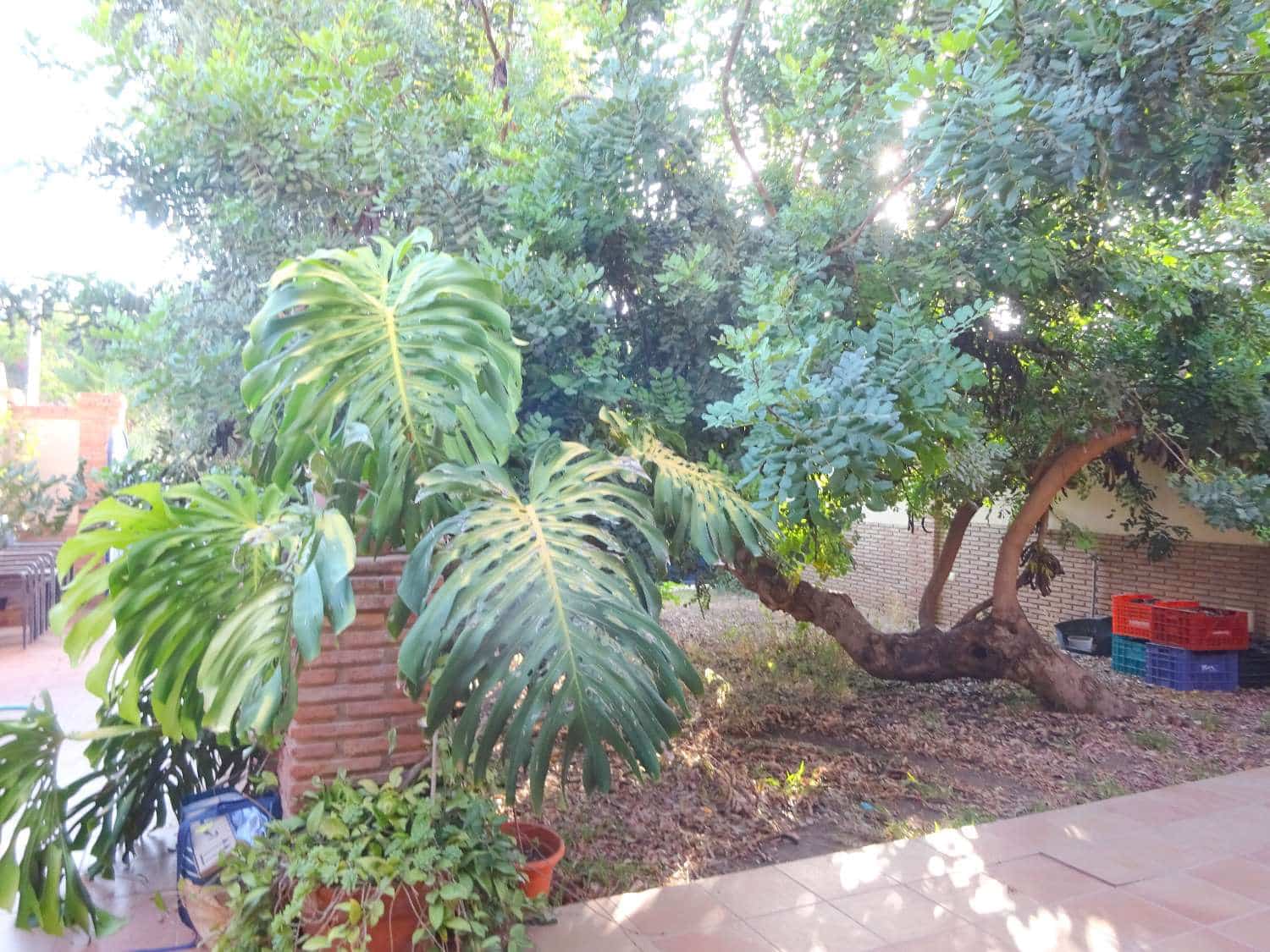 4 soverom Kjedet enebolig til salgs i Alhaurin de la Torre - € 595 000 (Ref: 9998024)