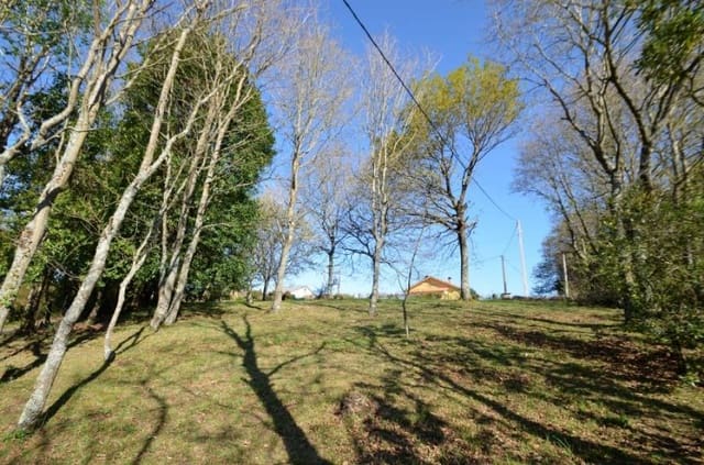 Building Plot for sale in A Laracha - € 50,000 (Ref: 9185757)