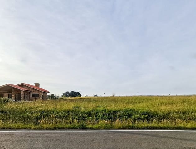 Terreno para Construção para venda em Arteixo - 97 500 € (Ref: 9185763)