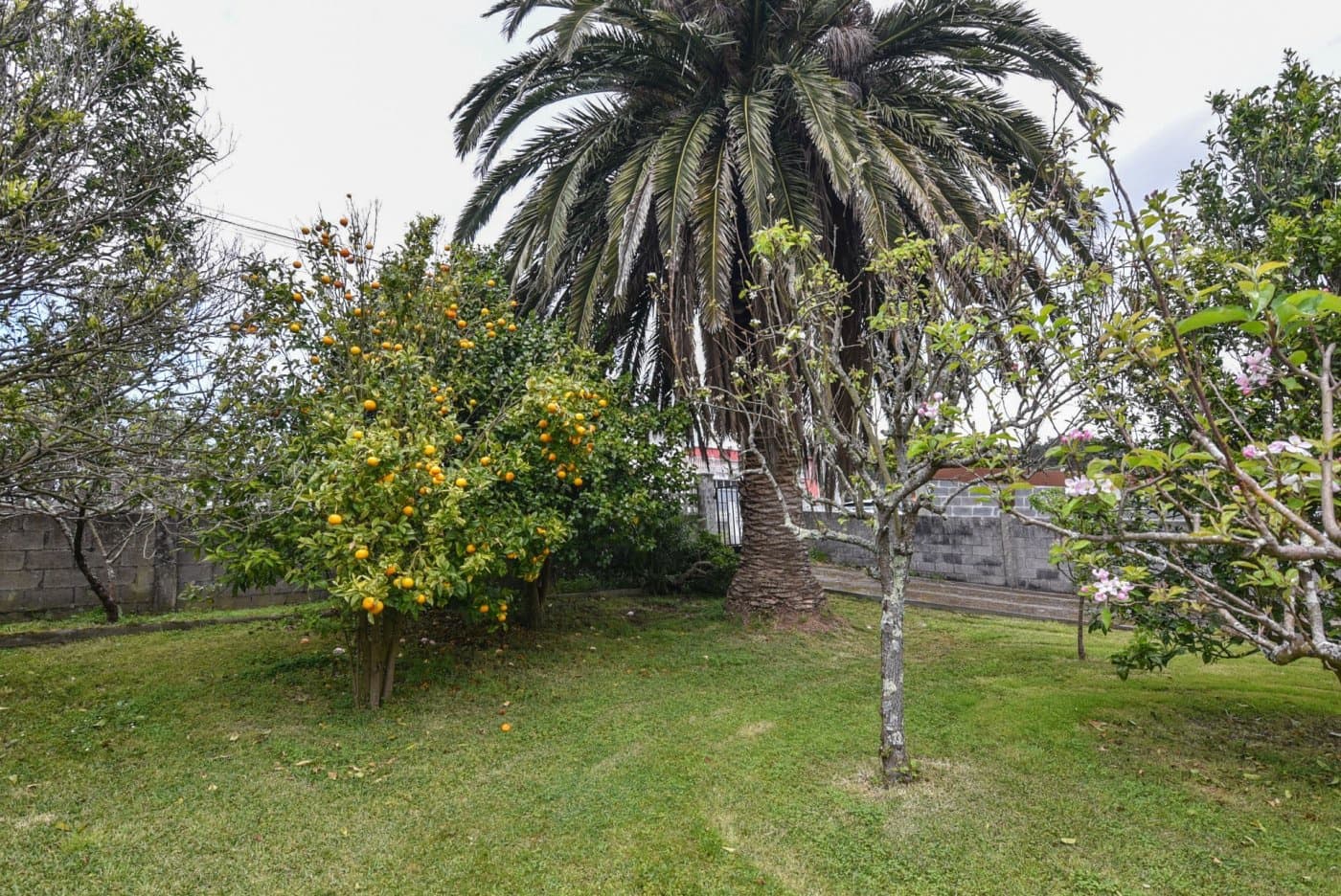 Terrain à Bâtir à vendre à Oleiros - 155 000 € (Ref: 9185765)