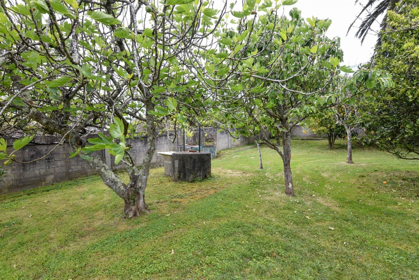 Terrain à Bâtir à vendre à Oleiros - 155 000 € (Ref: 9185765)