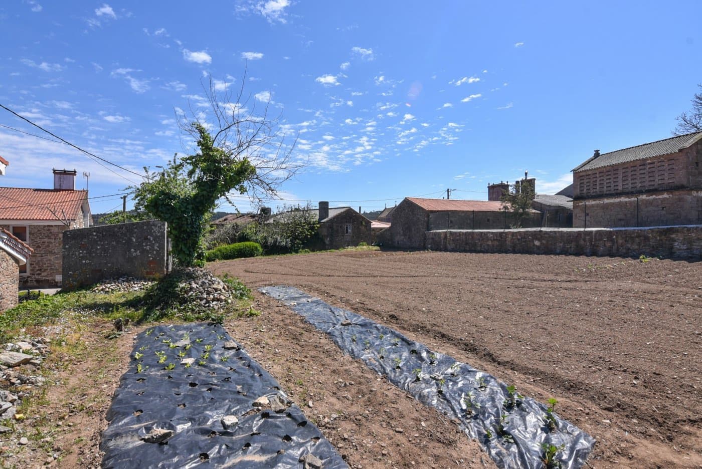 Byggegrund til salg i Carballo - € 48.000 (Ref: 9185767)