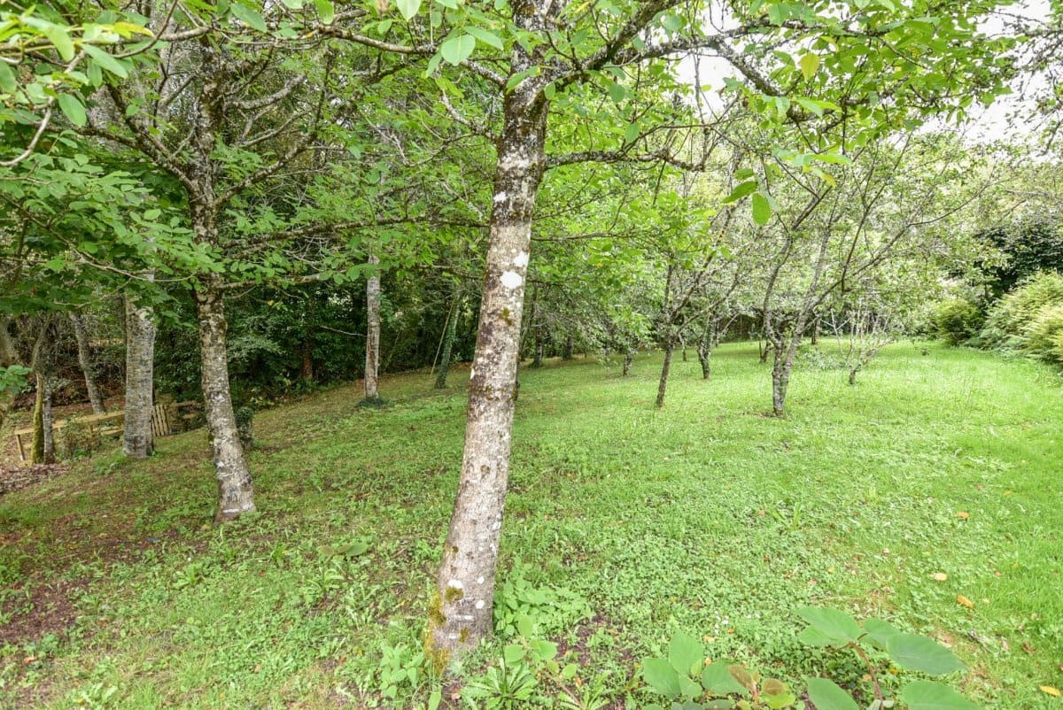 3 soveværelse Finca/Landehus til salg i Mondariz - € 385.000 (Ref: 9185777)