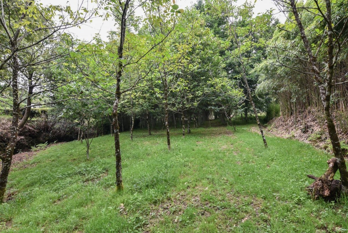 3 soveværelse Finca/Landehus til salg i Mondariz - € 385.000 (Ref: 9185777)