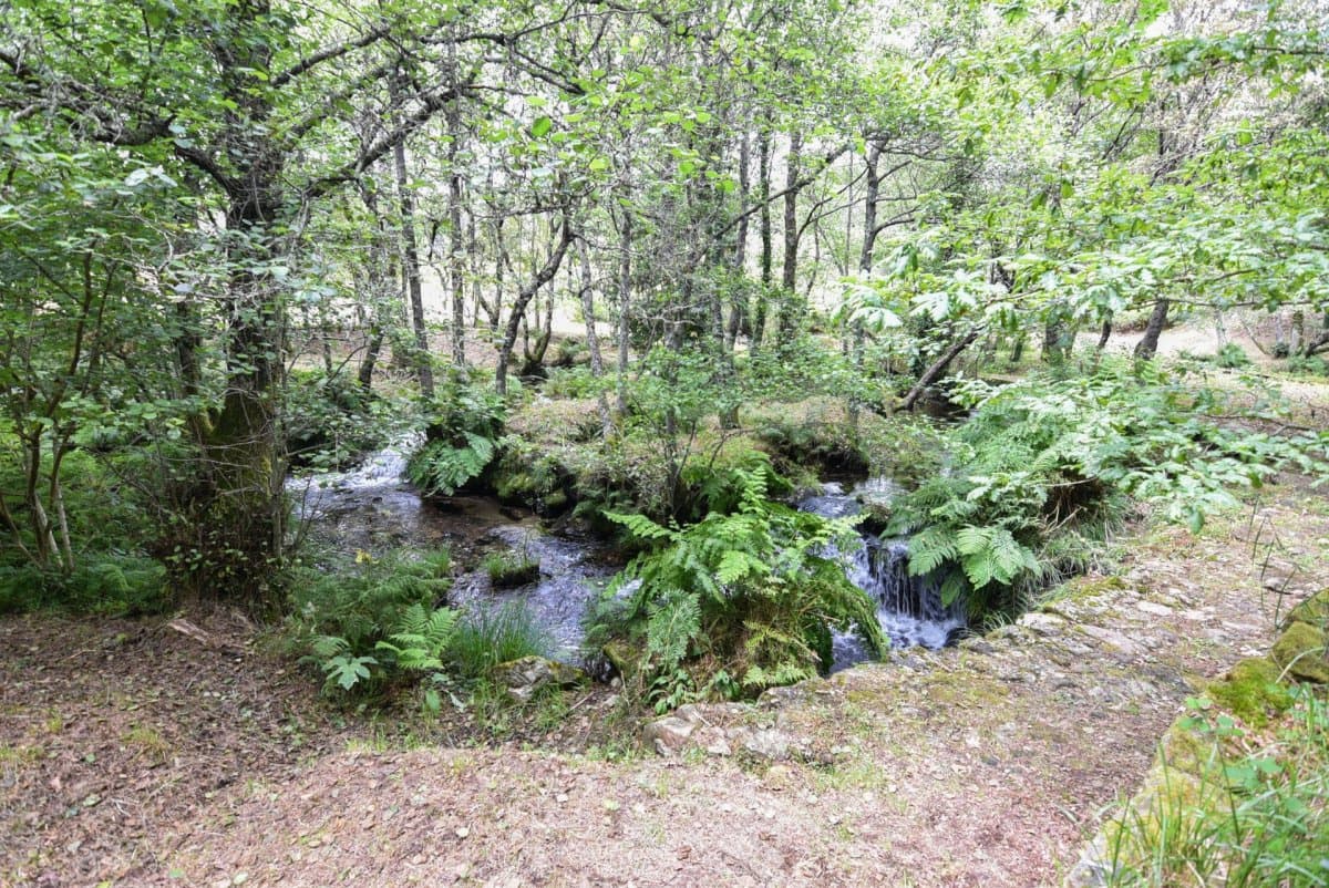 3 soveværelse Finca/Landehus til salg i Mondariz - € 385.000 (Ref: 9185777)