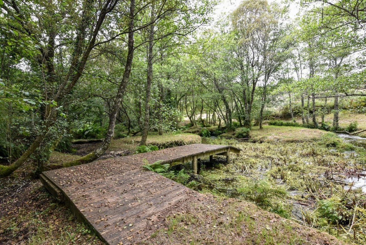 3 soveværelse Finca/Landehus til salg i Mondariz - € 385.000 (Ref: 9185777)