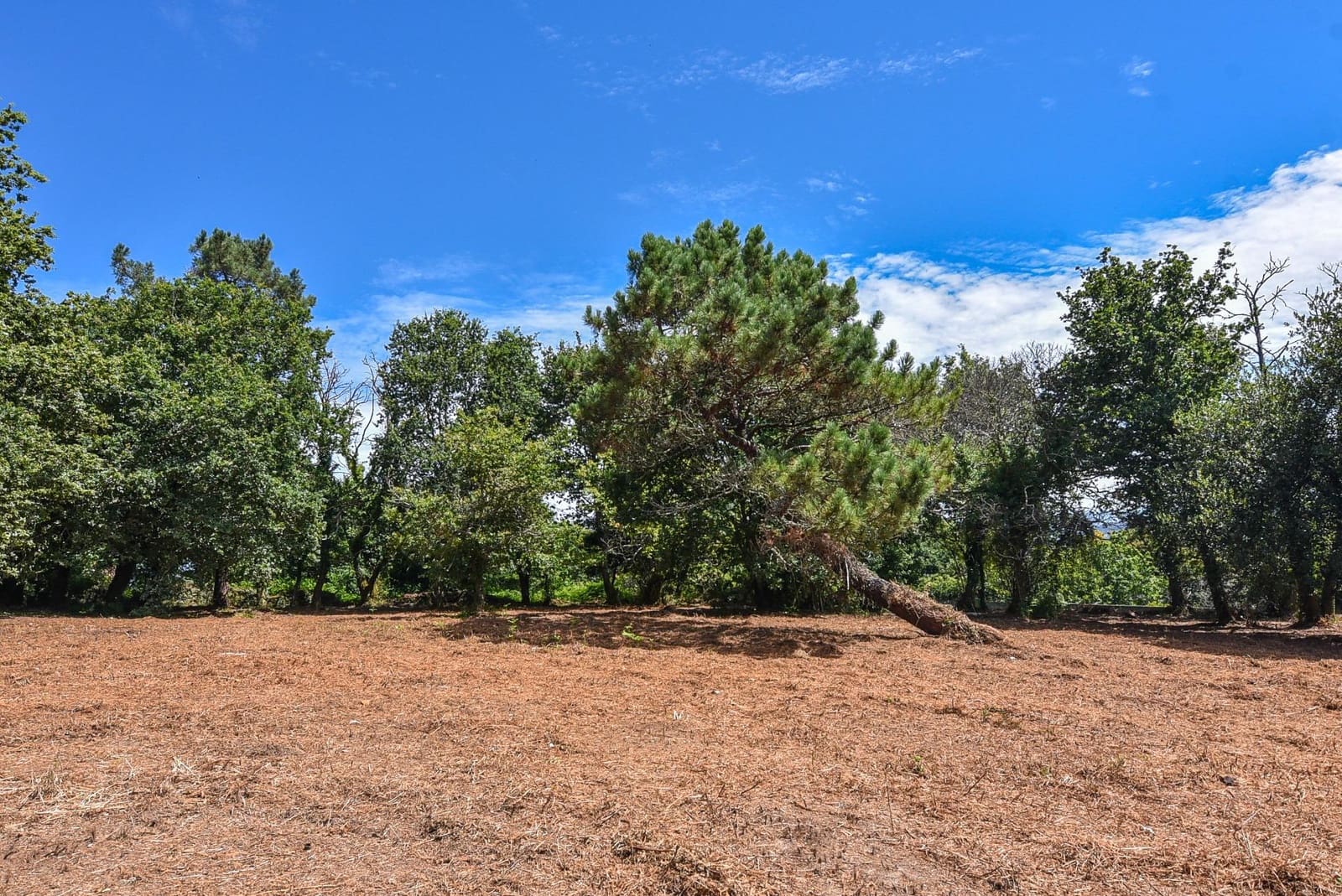 Działka budowlana na sprzedaż w Marin - 285 000 € (Ref: 9185782)