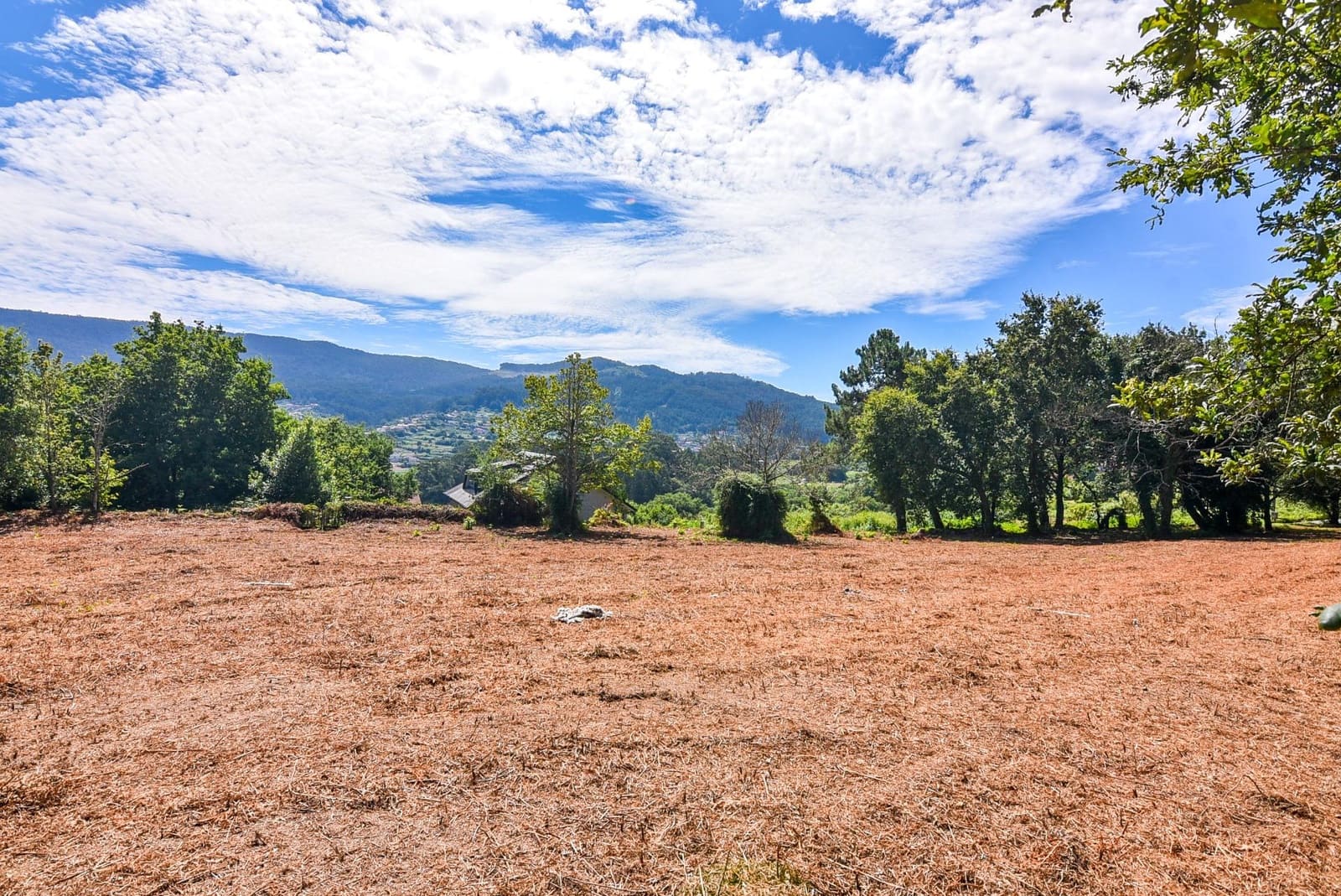 Działka budowlana na sprzedaż w Marin - 285 000 € (Ref: 9185782)