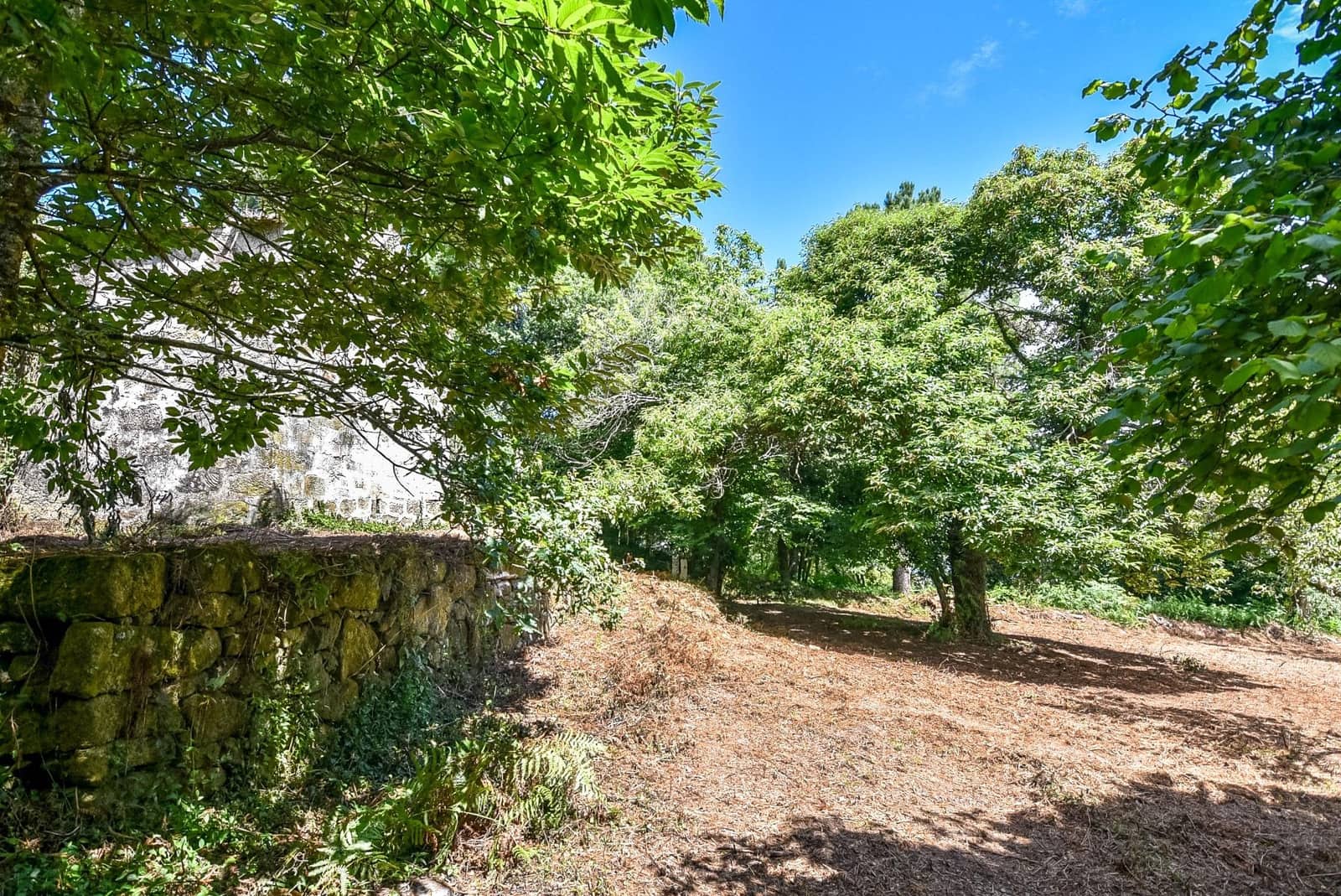 Działka budowlana na sprzedaż w Marin - 285 000 € (Ref: 9185782)