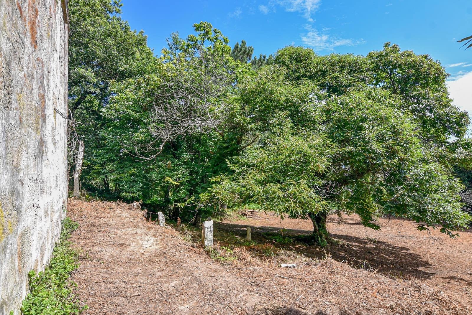 Działka budowlana na sprzedaż w Marin - 285 000 € (Ref: 9185782)