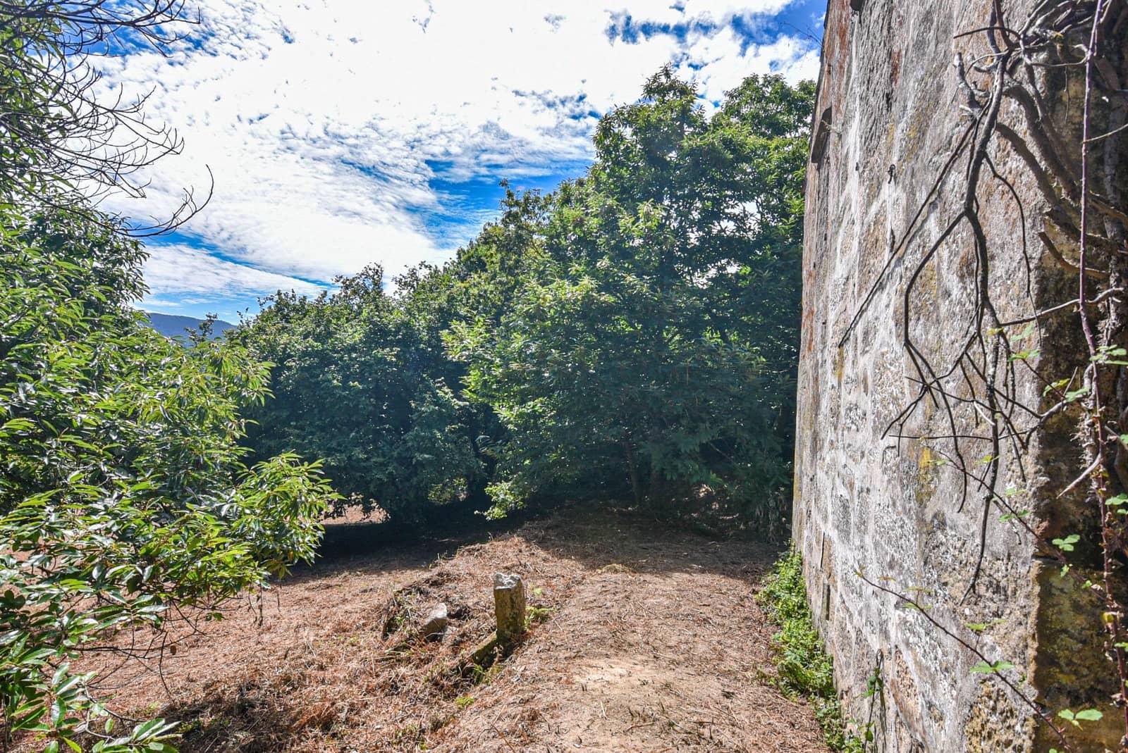 Działka budowlana na sprzedaż w Marin - 285 000 € (Ref: 9185782)