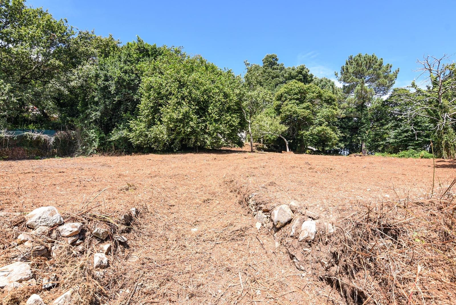 Działka budowlana na sprzedaż w Marin - 285 000 € (Ref: 9185782)