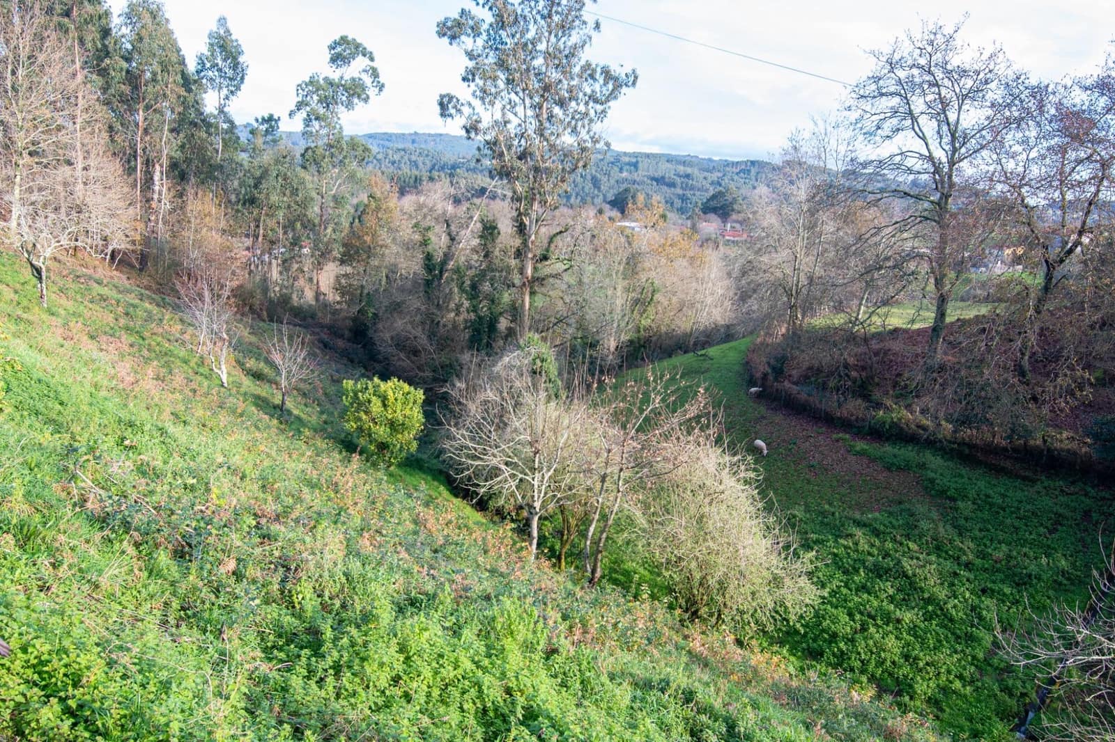 4 sypialnia Willa na sprzedaż w Coiros z garażem - 180 000 € (Ref: 9185802)